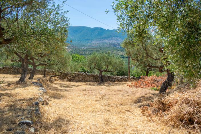 Image No.13-Plot for sale