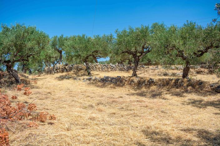 Image No.14-Plot for sale