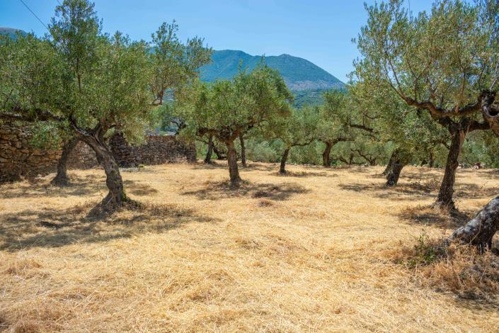 Image No.16-Plot for sale