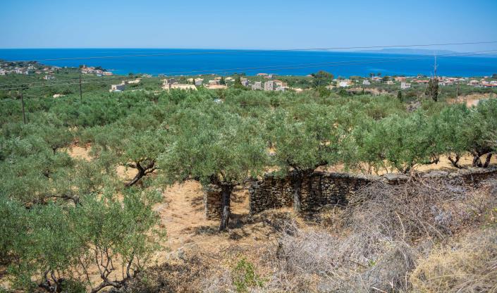 Image No.17-Plot for sale