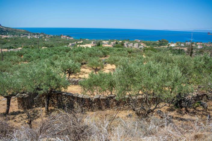 Image No.18-Plot for sale