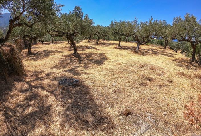 Image No.19-Plot for sale