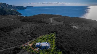 Real-Estate-956--3-