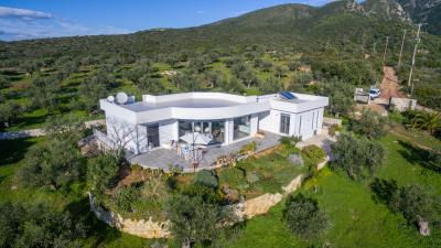 Real-Estate-956--5-