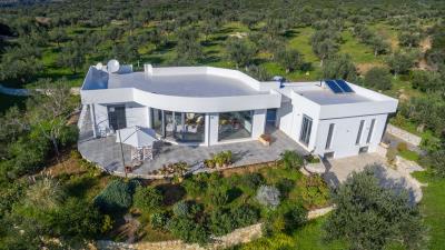 Real-Estate-956--6-