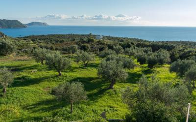 Real-Estate-956--17-