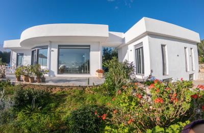 Real-Estate-956--26-
