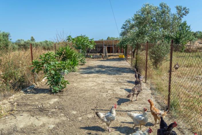 Image No.35-7 Bed Condo for sale