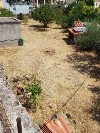Real-Estate-973--19-