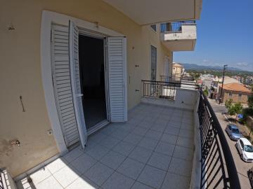 Real-Estate-981--17-