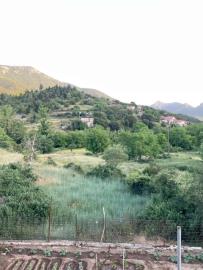 Real-Estate-998--18-