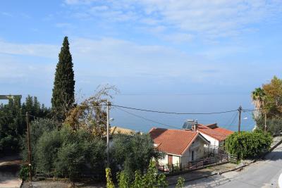 Real-Estate-996--2-