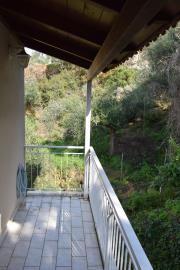 Real-Estate-996--9-