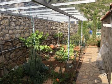 Kitchen-garden-g