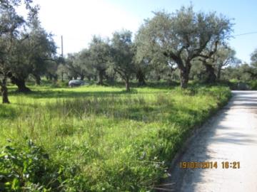 Real-Estate-246--3-