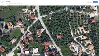 Real-Estate-246--1-