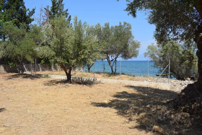 Image No.5-Villa de 2 chambres à vendre à Petalidi