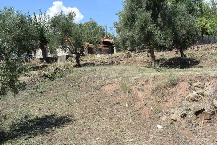 Image No.15-2 Bed Bungalow for sale