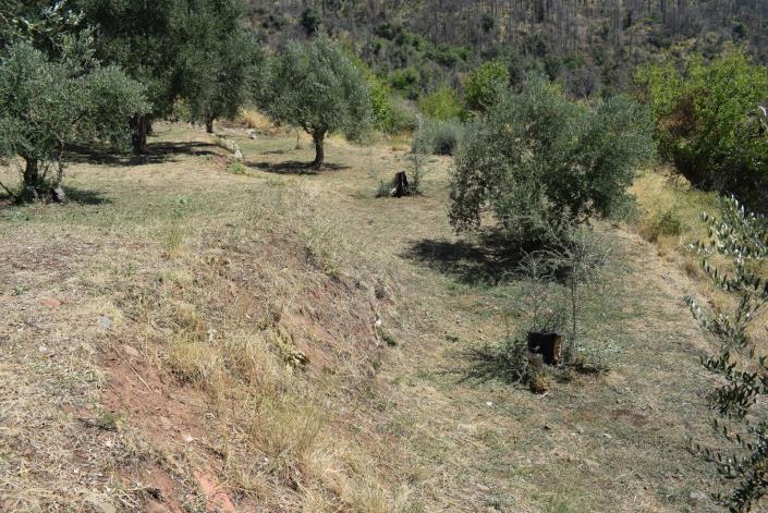 Image No.16-2 Bed Bungalow for sale