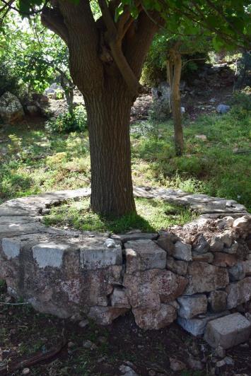 Image No.12-Ferme de 2 chambres à vendre à Kalamata