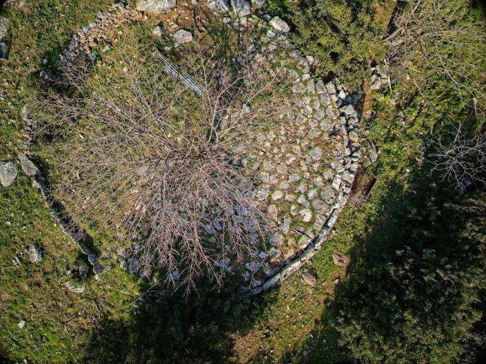 Image No.4-Ferme de 2 chambres à vendre à Kalamata