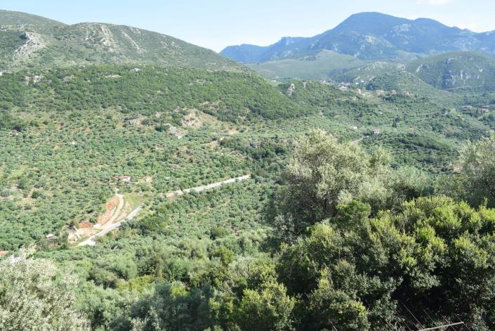 Image No.14-Ferme de 2 chambres à vendre à Kalamata