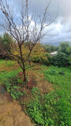 Image No.22-Villa de 3 chambres à vendre à Kalamata