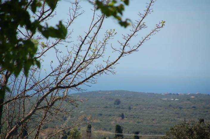 Image No.17-2 Bed Bungalow for sale