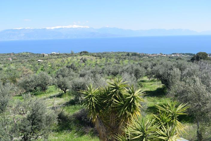 Image No.18-3 Bed House/Villa for sale