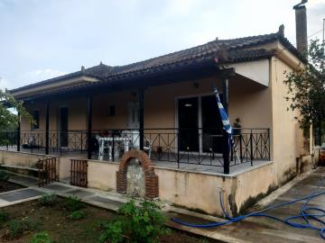 Real-Estate-1051-5-