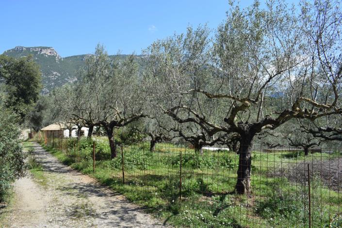 Image No.2-Bungalow à vendre à Messinia