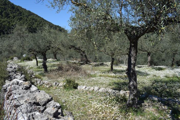 Image No.3-Bungalow à vendre à Messinia