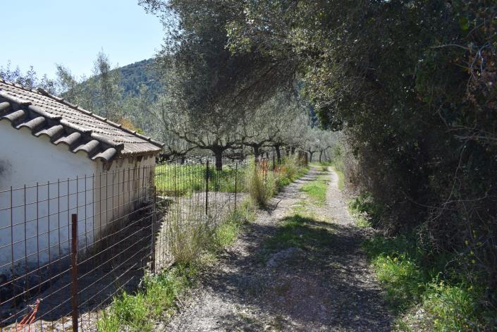 Image No.8-Bungalow à vendre à Messinia