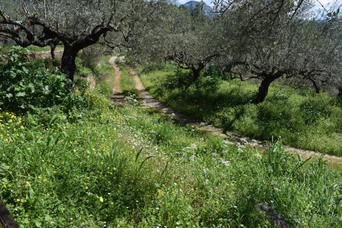 Image No.10-Bungalow à vendre à Messinia