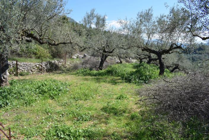 Image No.11-Bungalow à vendre à Messinia