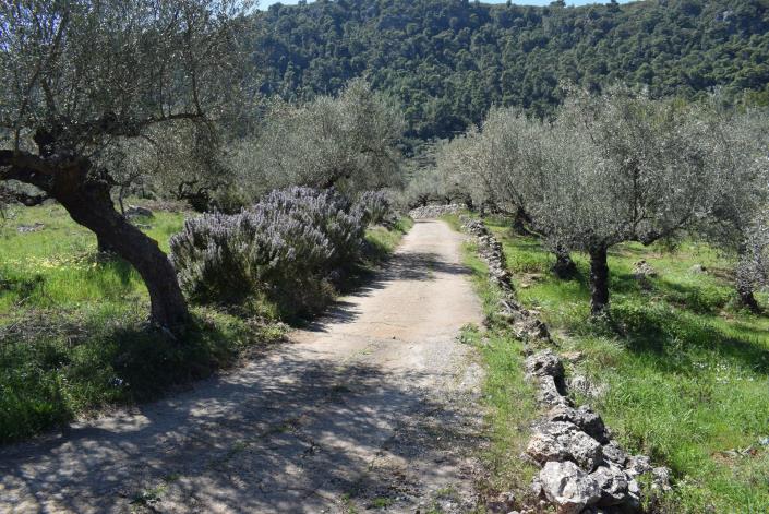 Image No.13-Bungalow à vendre à Messinia