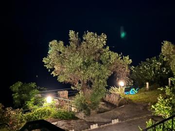 54622_oa0cby1ae5f