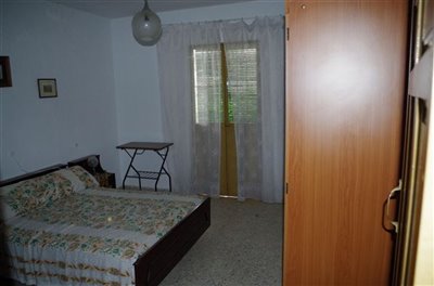 3290601-397f8b88