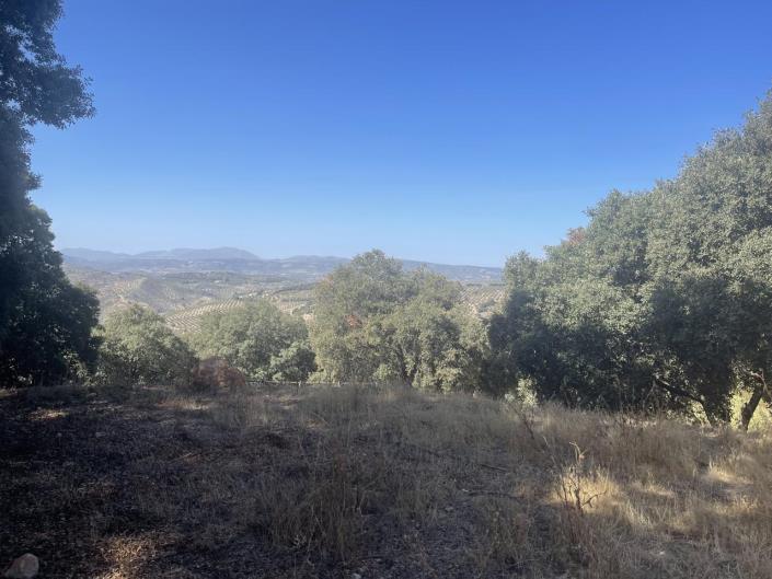 Property for sale in Granada 640 properties A Place in the Sun