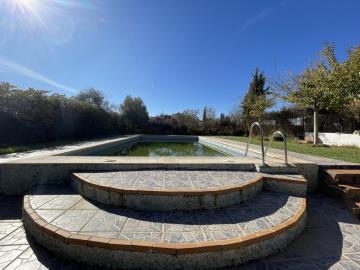 3632938-98a5087e