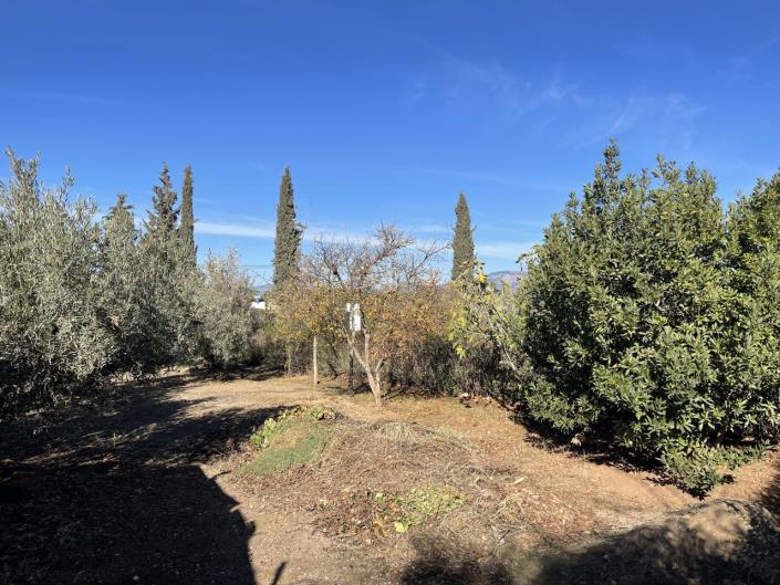 Image No.56-4 Bed Property for sale