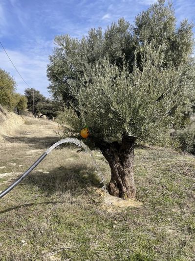 Image No.45-6 Bed Property for sale