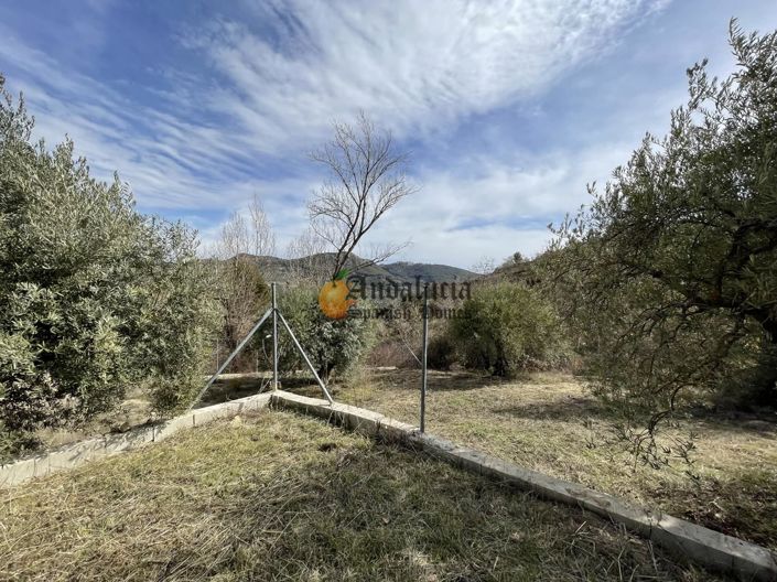 Image No.50-6 Bed Property for sale