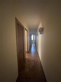 3694359-9c4f4140