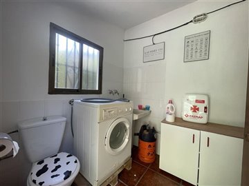 3697501-d08ef7d9