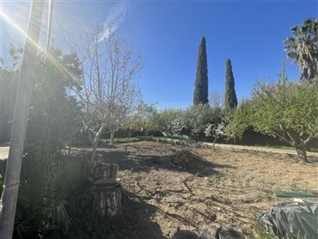 3697501-ce21abad