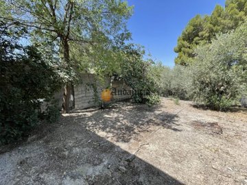 d2d74c8b-0003755021