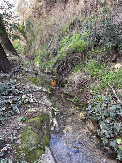 Image No.57-Propriété de 7 chambres à vendre à Loja