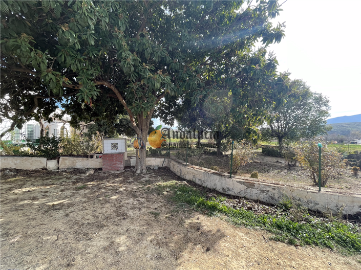 Image No.59-Propriété de 7 chambres à vendre à Loja