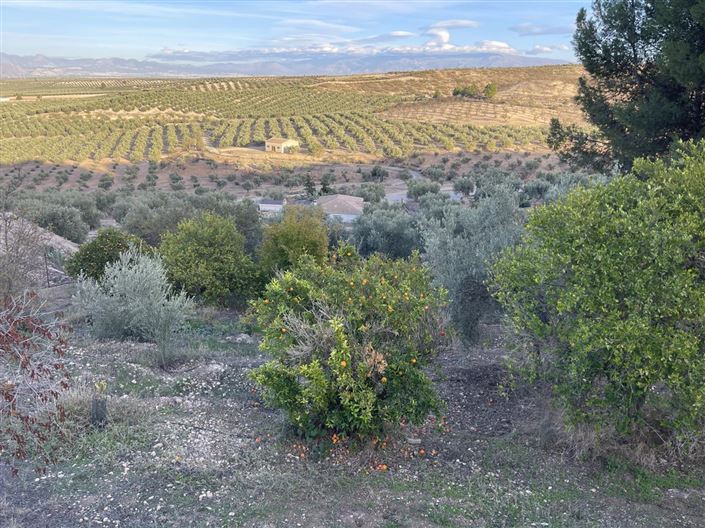 Image No.14-Propriété de 2 chambres à vendre à Moraleda de Zafayona